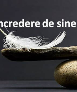 Curs online 7 Piloni ai increderii in sine - M.I.N.D.S.E.T.